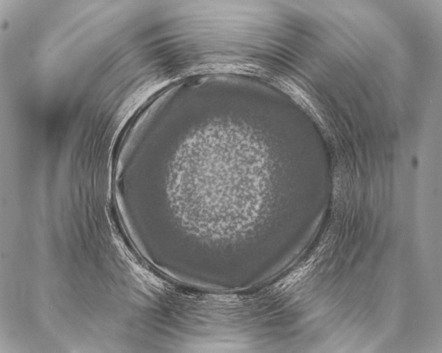 X0000087020844200704301312