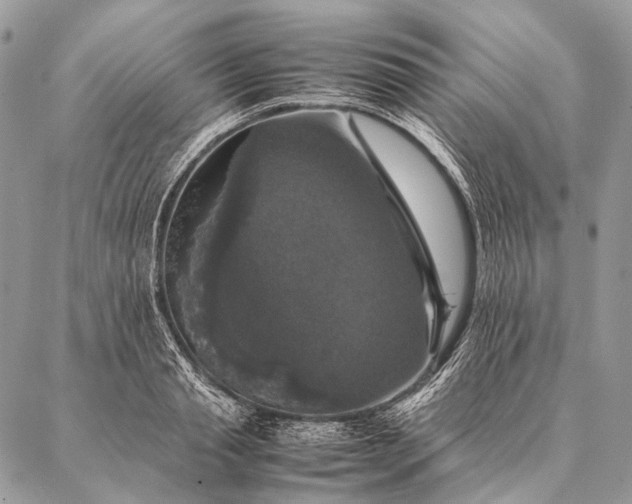 X0000087020845200704301312