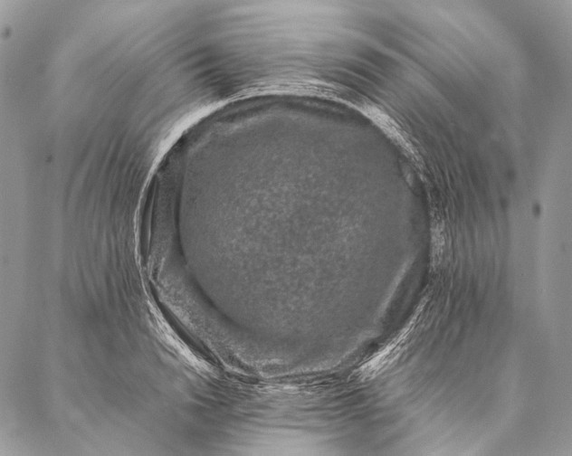 X0000087020846200704301312