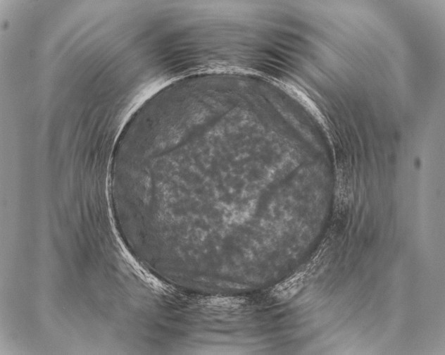 X0000087020847200704301312