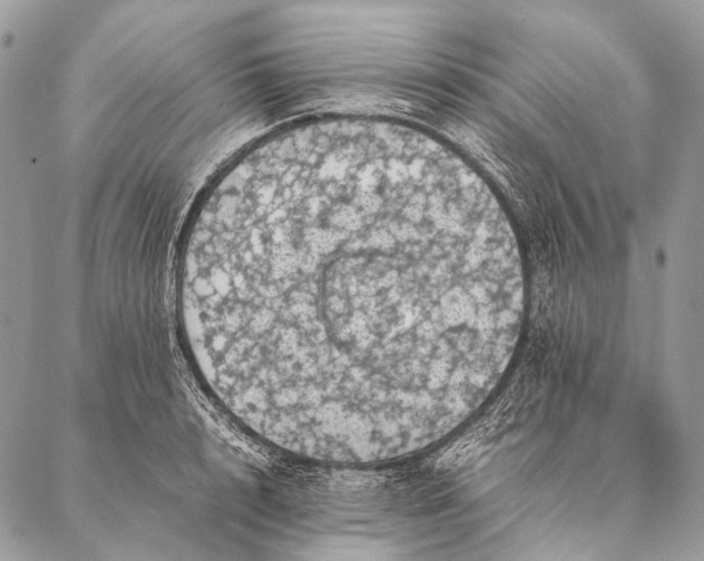 X0000087020848200704301312