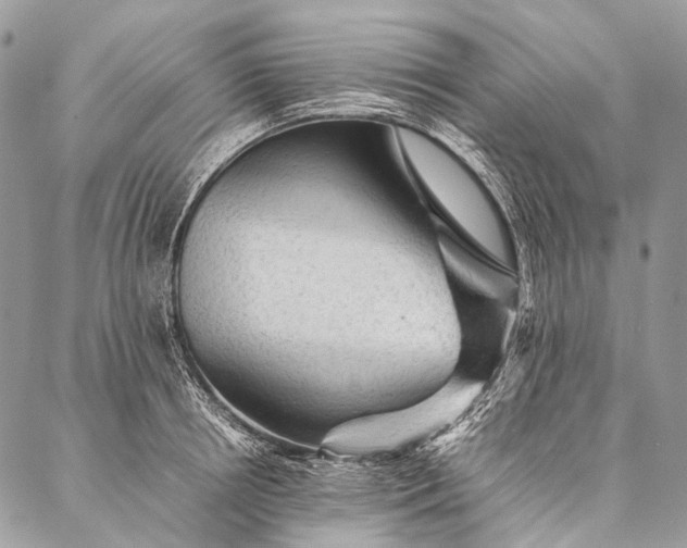 X0000087020850200704301312