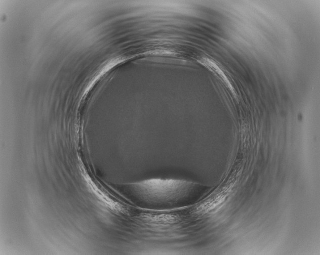 X0000087020851200704301312