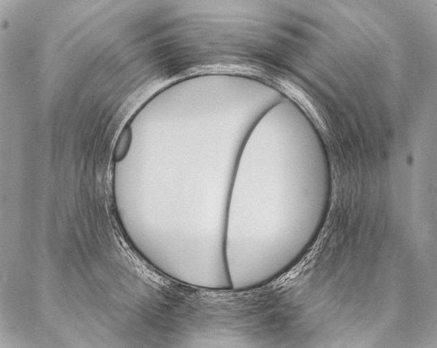 X0000087020852200704301312