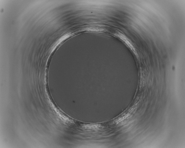 X0000087020853200704301312