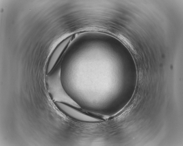 X0000087020854200704301312