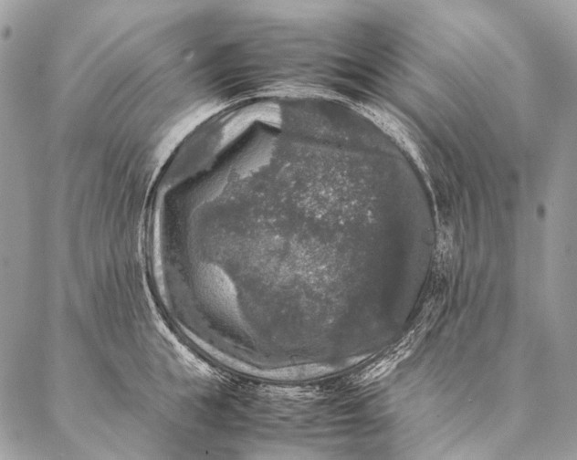 X0000087020855200704301312