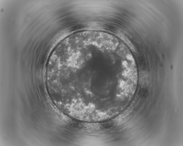 X0000087020856200704301312