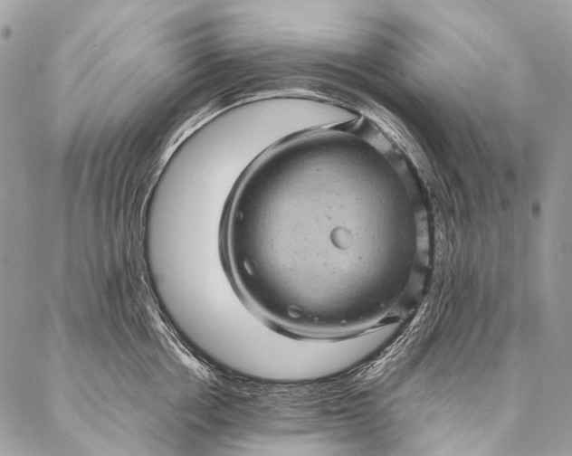 X0000087020858200704301312