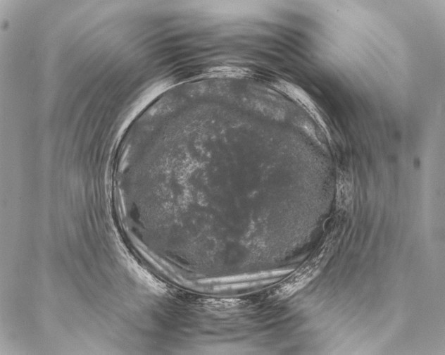 X0000087020859200704301312