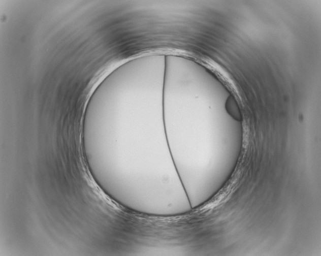 X0000087020860200704301312