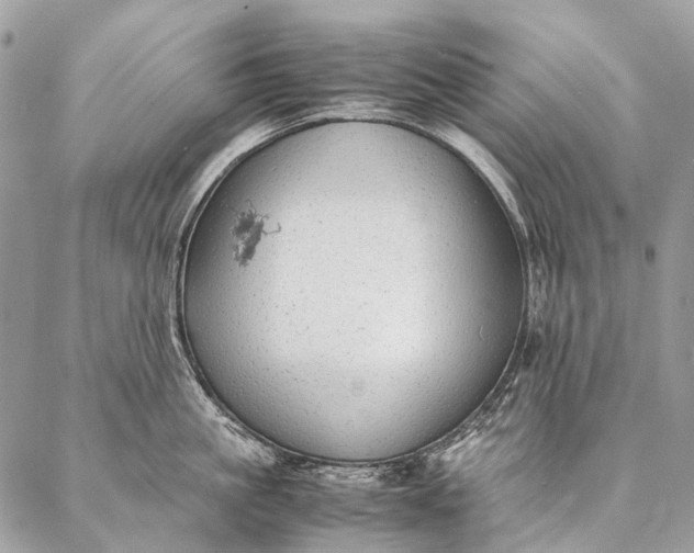 X0000087020861200704301312