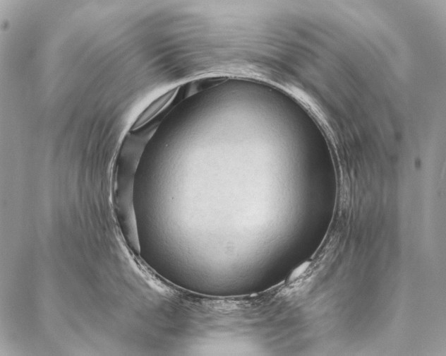 X0000087020862200704301312