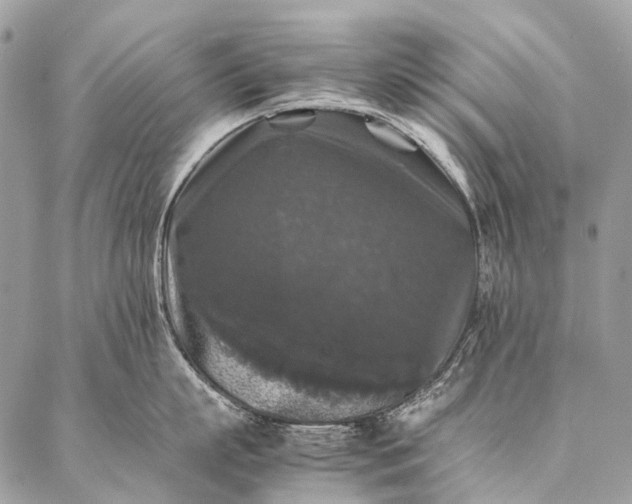 X0000087020863200704301312