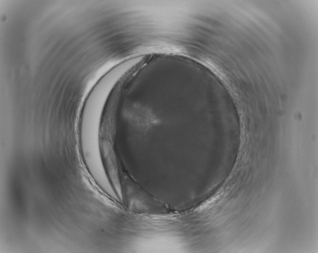 X0000087020864200704301312