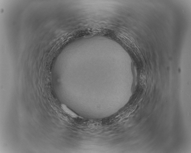 X0000087020865200704301312