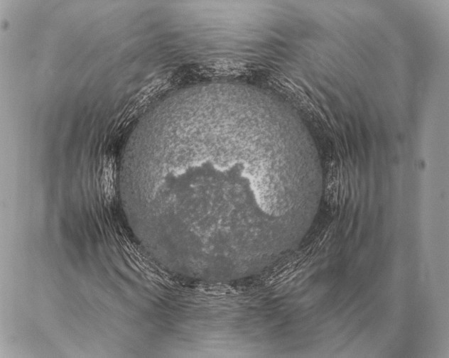 X0000087020866200704301312