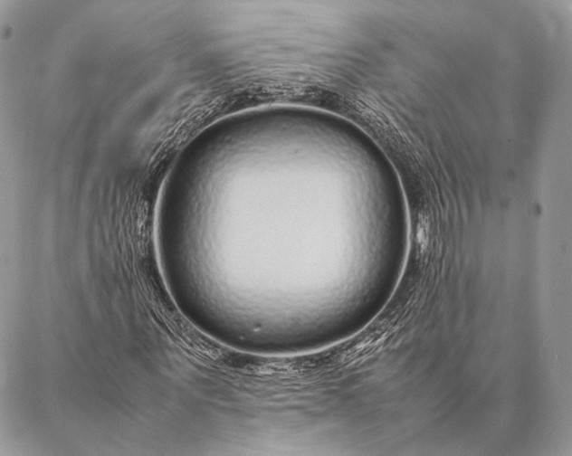 X0000087020867200704301312