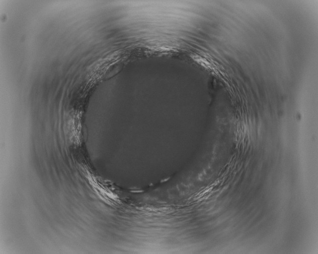 X0000087020868200704301312