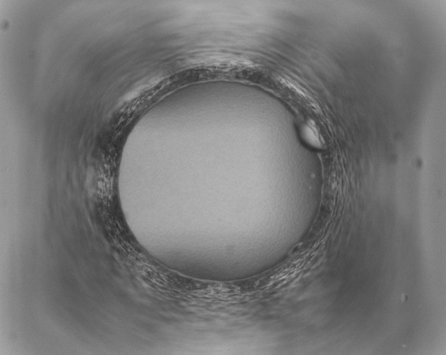 X0000087020869200704301312