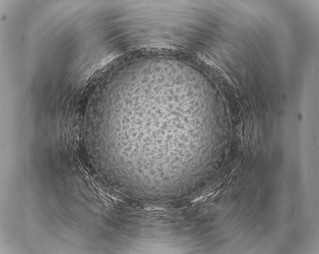 X0000087020870200704301312