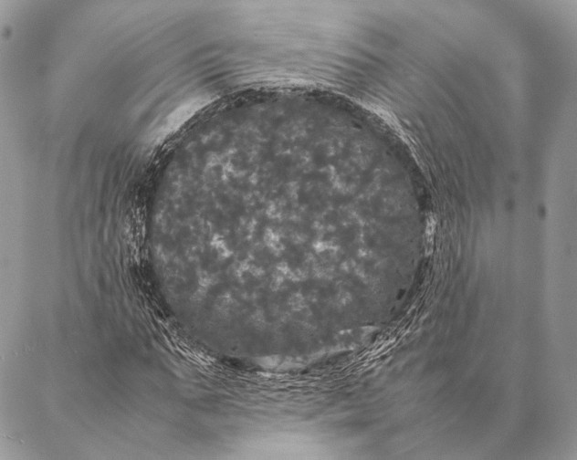 X0000087020871200704301312