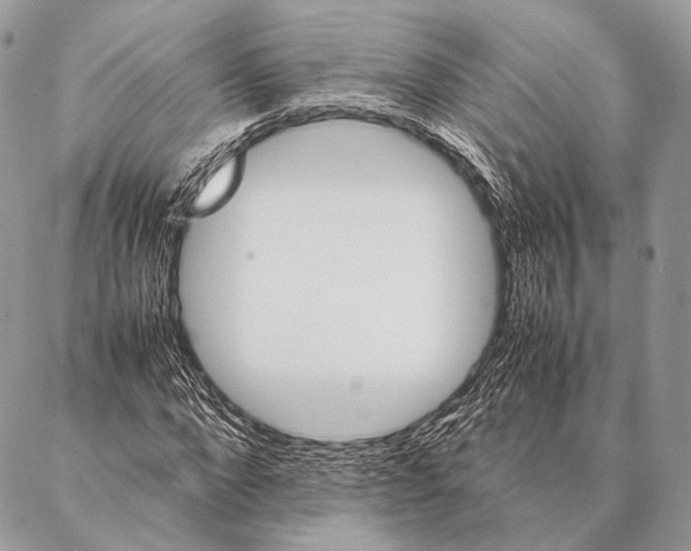 X0000087020872200704301312