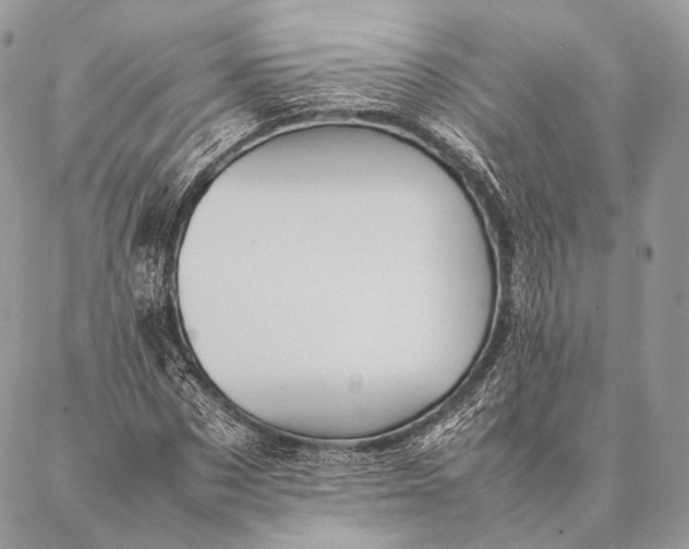 X0000087020873200704301312