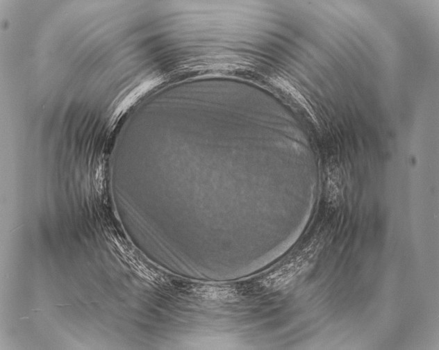 X0000087020874200704301312