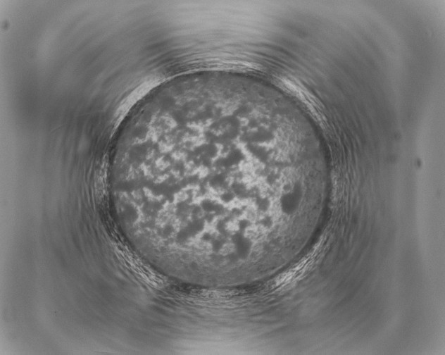 X0000087020875200704301312