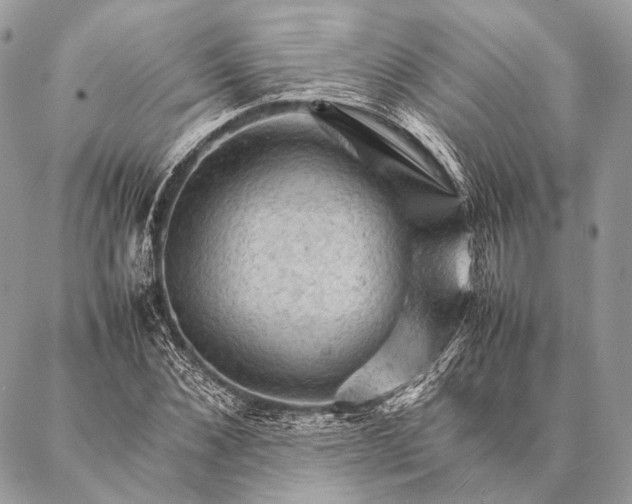 X0000087020876200704301311