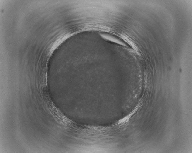 X0000087020877200704301311