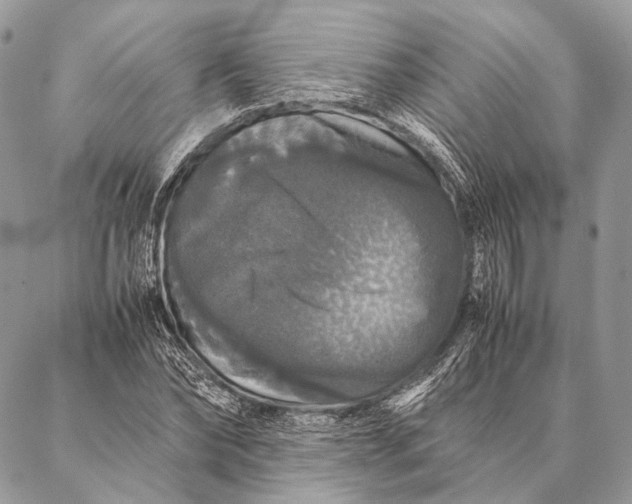 X0000087020878200704301311