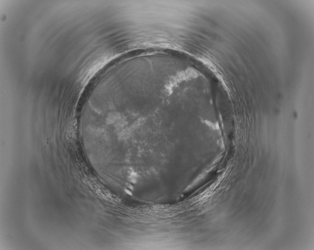 X0000087020879200704301311