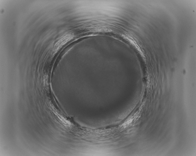 X0000087020881200704301311