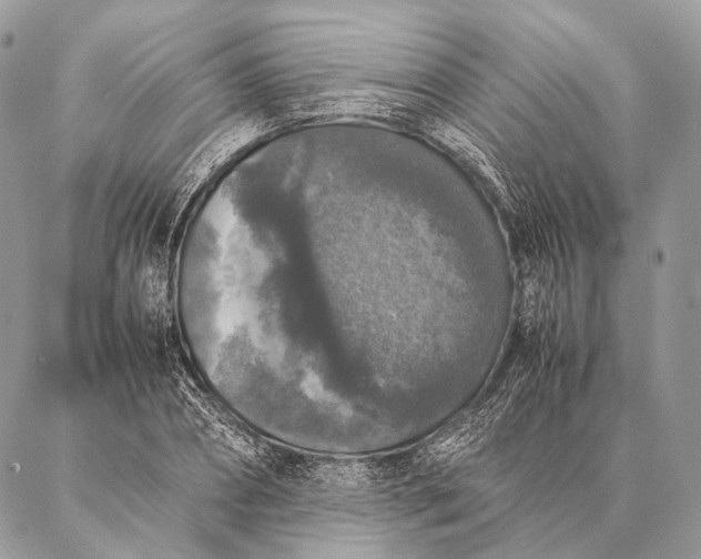 X0000087020882200704301311