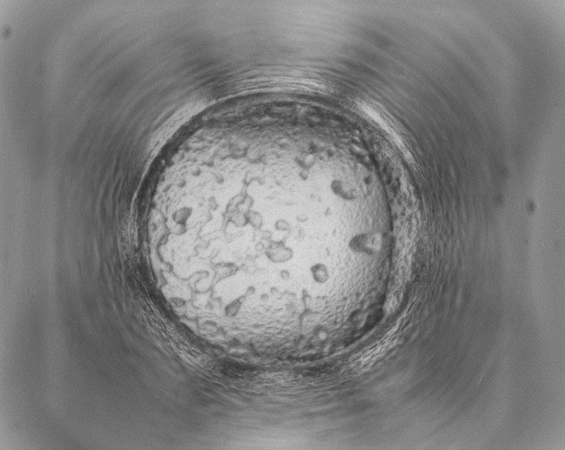 X0000087020883200704301311