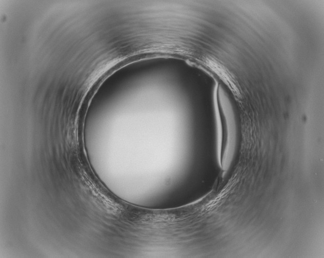 X0000087020884200704301311