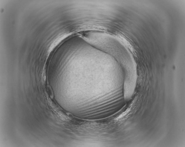 X0000087020885200704301311