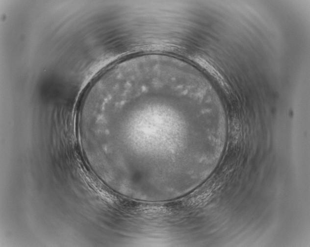 X0000087020886200704301311