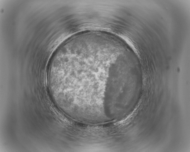 X0000087020887200704301311