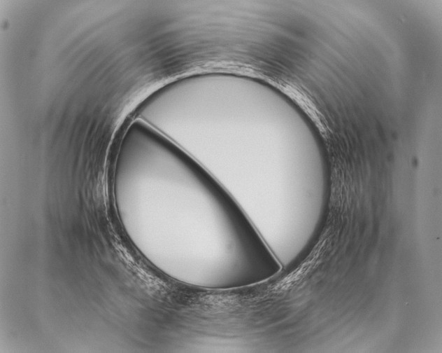 X0000087020888200704301311