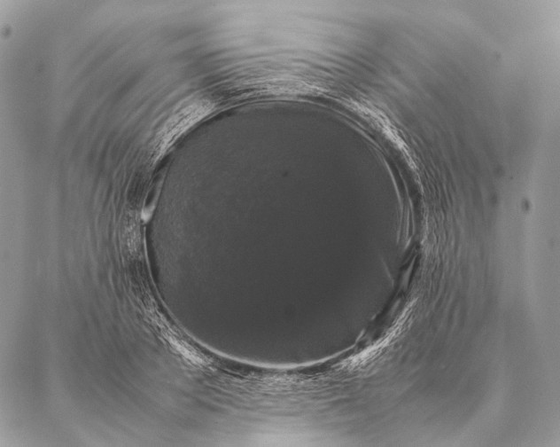 X0000087020889200704301311