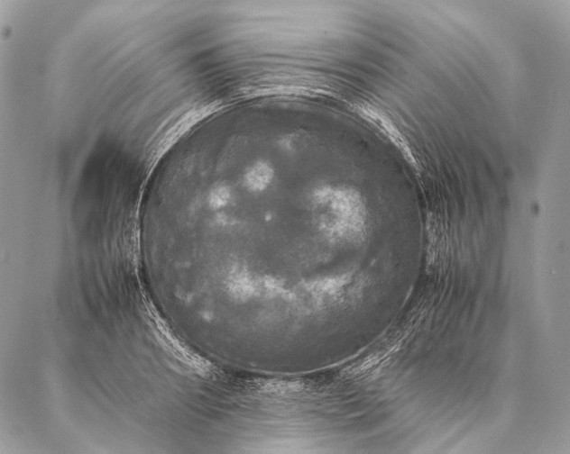 X0000087020890200704301311