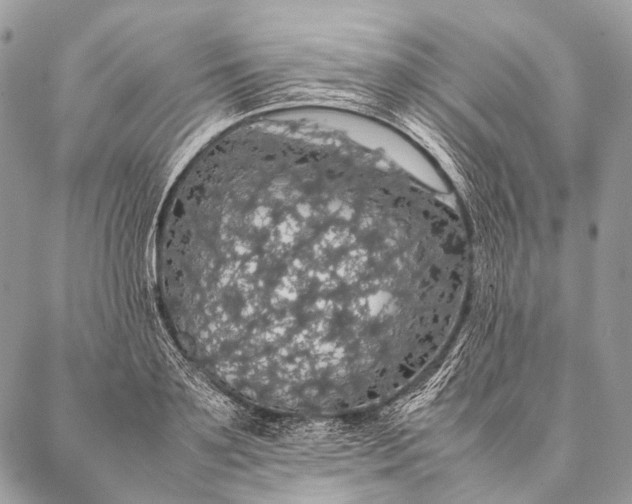 X0000087020891200704301311