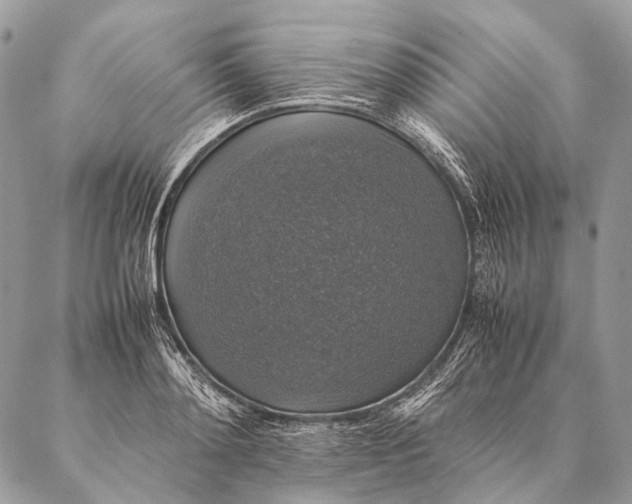 X0000087020892200704301311