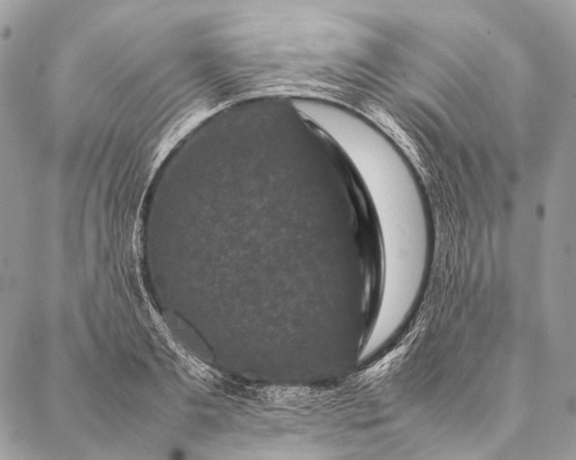 X0000087020893200704301311