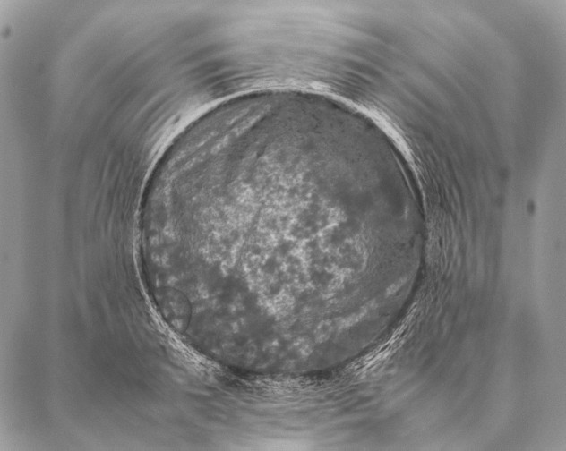 X0000087020895200704301311