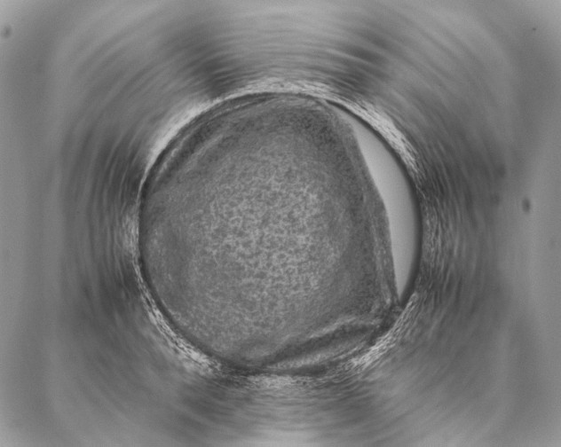 X0000087020896200704301311