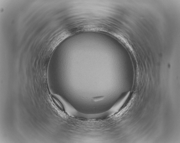 X0000087020897200704301311